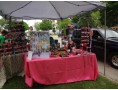 MacNider Art Fest 2014