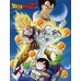 Dragon Ball Z Group Blanket