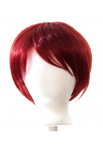 Purple Plum Brand Ken Wig (Multiple Colors)