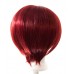 Purple Plum Brand Ken Wig (Multiple Colors)